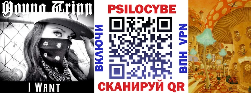 даркнет как зайти  Тында  Псилоцибиновые грибы мицелий 