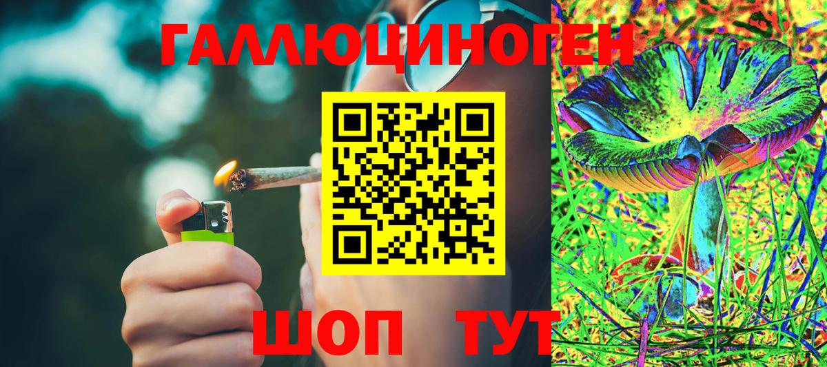 Псилоцибиновые грибы Magic Shrooms  Вход с VPN  как найти закладки  Тында 