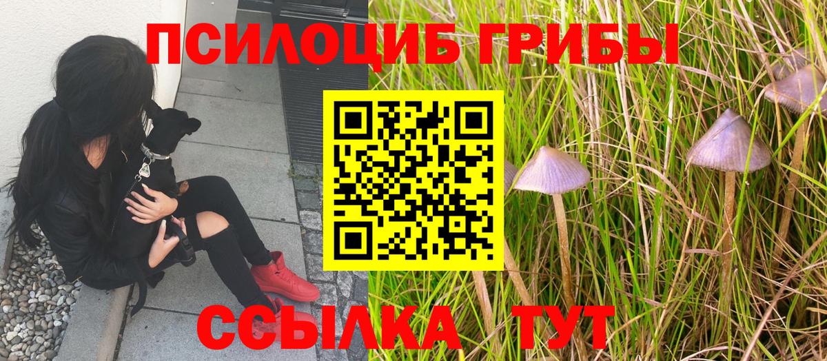 Псилоцибиновые грибы ЛСД Тында